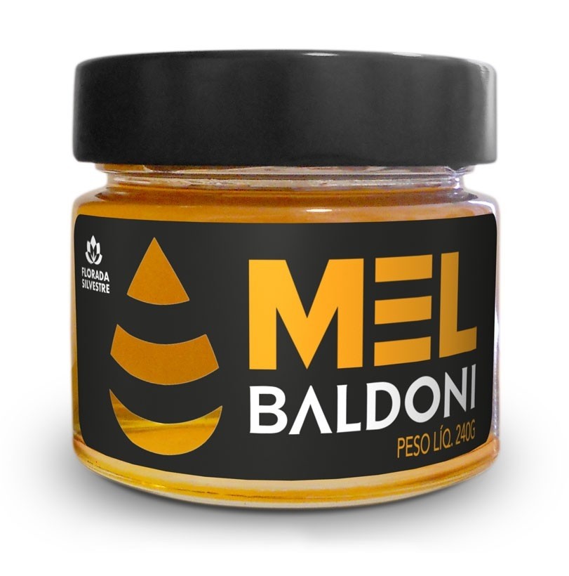 Mel Flores Silvestres Pote com  240g - BALDONI